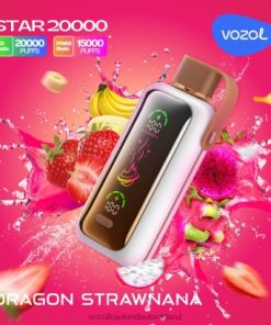 VOZOL Kaufen Deutschland - VOZOL STAR 20000 Drache Strawnana 8Z888403