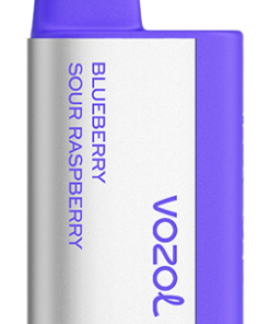 VOZOL Vape Berlin - VOZOL TIGO 600 Heidelbeere, saure Himbeere 8Z888365