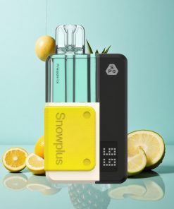 Ananas-Eis Snowplus Swift 15000 Puffs Dual Mesh Pod Kit 2+10ml