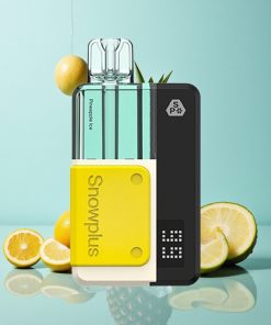 Ananas-Eis Snowplus Swift 5000 Puffs Dual Mesh 1000 mAh