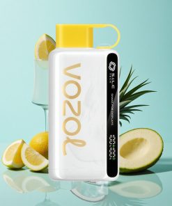 Ananas-Kokos-Eis VOZOL STAR 9000/12000 Einweg-Vape mit 650mAh Akku und bis zu 9000/12000 Puffs