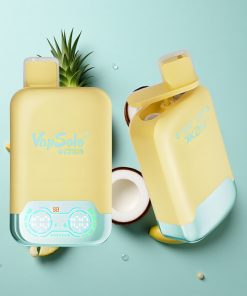 Ananas-Kokos & Erdbeer-Banane Vapsolo Twins 20000 Puffs 40ml Typ-C