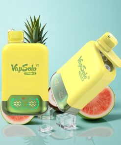 Ananas Kokosnuss & Wassermelone Eis Vapsolo Twins 20000 Puffs 40ml Typ-C