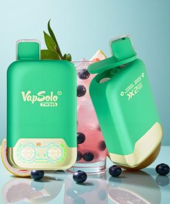 Blaubeere Schwarze Johannisbeere & Grapefruit Erfrischung Vapsolo Twins 20000 Puffs 40ml Typ-C