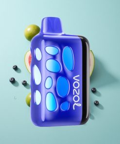 Blaubeere-Wassermelone VOZOL RAVE 40000 Einweg-Vape mit 1000mAh Akku und Beat-Synced Party Mode