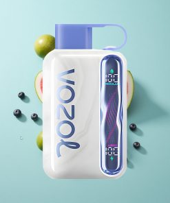 Blaubeere Wassermelone VOZOL STAR 40000 Puffs mit 1000mAh Akku und Typ-C-Ladung