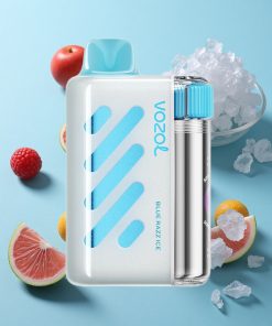 Blaue Himbeer-Eis VOZOL VISTA 40000 Puffs MTL Wiederaufladbar