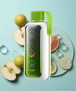 Doppelapfel-Eis VOZOL Star 20000 Puffs Dual Mesh 650mAh