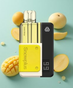 Goldene Mango Snowplus Swift 15000 Puffs Pod Kit mit 2+10 ml Nachfüllset und Dual-Mesh-Verdampfer