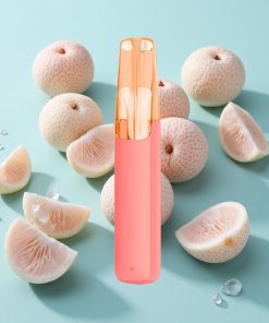 Litschi-Eis Snowplus Dash 4000 Puffs 7,5 ml