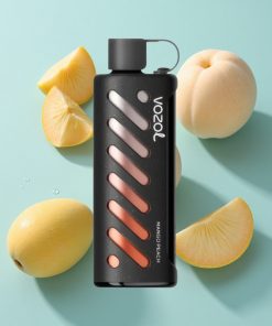 Mango-Pfirsich VOZOL Gear Shisha 25000 Puffs mit 1000mAh Akku und Dual Mesh Dual Modes