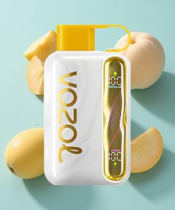 Mango-Pfirsich VOZOL STAR 40000 Puffs Tragbare E-Zigarette mit 1000mAh Akku und Type-C-Ladung