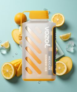 Mexikanisches Mango Eis VOZOL Gear Power 20000 Puffs Dual Mesh Coil 20mL