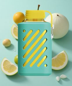 Miami Minze VOZOL GEAR 10000 mit 10000 Puffs und 20 ml E-Liquid