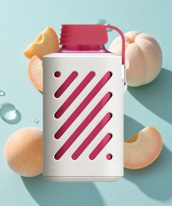 Pfirsich-Eis VOZOL GEAR 10000 mit 10000 Puffs und VAMT Mesh Coil