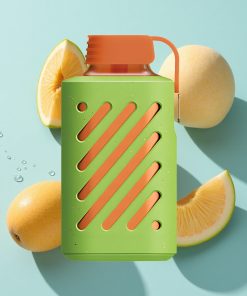 Pfirsich-Mango-Wassermelone VOZOL GEAR 10000 Einweg-Vape mit 10000 Puffs und 20 ml E-Liquid