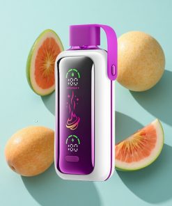 Pfirsich Mango Wassermelone VOZOL Star 20000 Puffs Dual Mesh HD Spiegelbildschirm