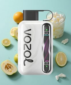 Tabak VOZOL STAR 40000 Puffs Einweg-Vape mit 1000mAh Akku und Type-C-Ladeanschluss