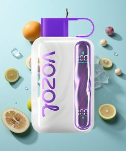 Trauben-Eis VOZOL STAR 40000 Puffs mit 1000mAh Akku und Typ-C-Ladung