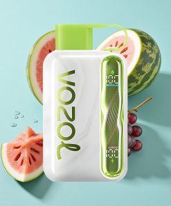 Wassermelone Graubeere Heidelbeere VOZOL STAR 40000 Puffs mit 1000mAh Akku und Typ-C-Ladung