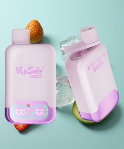 Weintraube-Eis & Erdbeer-Kiwi Vapsolo Twins 20000 Puffs 40ml E-Liquid Typ-C