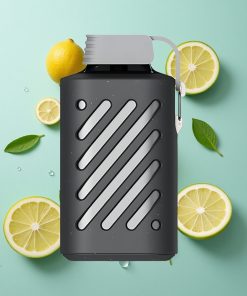 Zitrone-Minze VOZOL GEAR 10000 Einweg-Vape mit 10000 Puffs und 20 ml E-Liquid