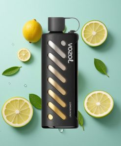 Zitrone Minze VOZOL Gear Shisha 25000 Puffs Dual Mesh