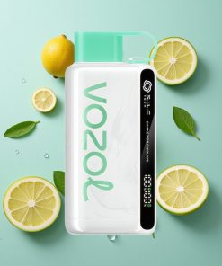 Zitronen-Minze VOZOL STAR 9000/12000 Einweg-Vape mit 650mAh Akku und bis zu 9000/12000 Puffs