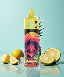 Ananas Eis JNR Alien 10000 Puffs mit 20ml E-Liquid und Typ-C Ladung