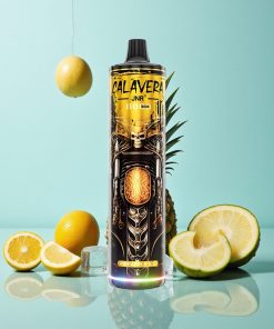 Ananas-Eis JNR Calavera 11000 Puffs Typ-C Ladung 850 mAh