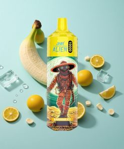Banane-Eis JNR Alien 10000 Puffs mit 850mAh Akku und Typ-C Schnellladung