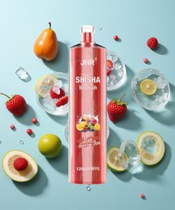 Beeren-Eis JNR Shisha Hookah 12000 Puffs mit 24ml E-Liquid und Type-C Schnellladung