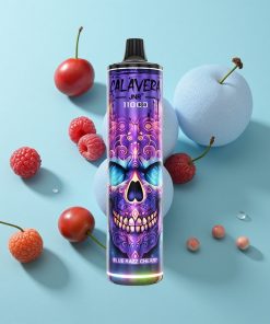 Blau-Himbeer-Kirsche JNR Calavera 11000 Puffs Typ-C Ladung 850mAh