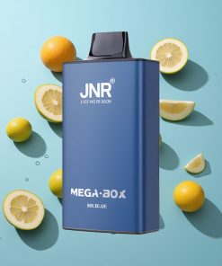 Blau JNR Mega Box 25000 Puffs Typ-C Schnellladung Einweg-Vape Mr Blue
