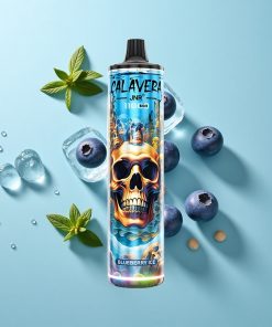 Blaubeer-Eis JNR Calavera 11000 Puffs mit 850mAh Akku und Typ-C-Ladeanschluss