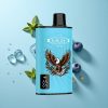Blaubeer-Eis JNR EAGLE Smart 23000 Puffs mit Digitaldisplay und 25ml E-Liquid