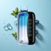 Blaubeer-Eis JNR Flex Ice 21000 Puffs mit anpassbarem Eis und 26ml E-Liquid