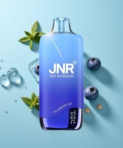 Blaubeer-Eis JNR Rainbow 10500 Puffs Einweg-Vape mit 18ml Tank und USB-C