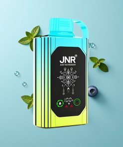 Blaubeer-Minze JNR Shisha Hookah Box 20500 Puffs mit 25ml E-Liquid und Dual Mesh Coil