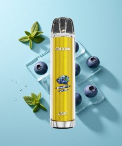 Blaubeere-Eis JNR Gold380 6000 Puffs Einweg-Vape