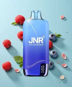 Blaubeere Himbeere JNR Rainbow 10500 Puffs 18ml Tank