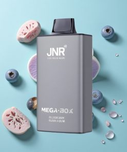 Blauberry Kaugummi JNR Mega Box 25000 Puffs Typ-C Schnellladung