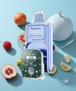 Blaue Himbeere Eis JNR Vape Watch 30000 Puffs Dual Mesh Coil Typ-C Schnellladung