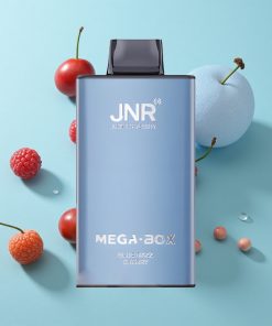 Blaue Himbeere-Kirsche JNR Mega Box 25000 Puffs Typ-C Schnellladung
