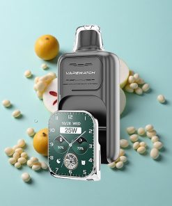 Dreifach-Beere JNR Vape Watch 30000 Puffs 19mL Typ-C Schnellladung