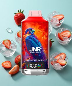 Erdbeer-Eis JNR Falcon X 18000 Puffs 24ml Dual-Mesh-Coil Typ-C-Schnellladung