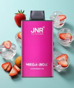 Erdbeer-Eis JNR Mega Box 25000 Puffs Typ-C Schnellladung