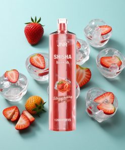 Erdbeer-Eis JNR Shisha Hookah 12000 Puffs 24ml 750mAh Typ-C