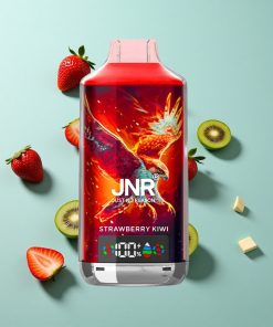 Erdbeer-Kiwi JNR Falcon X 18000 Puffs 24ml Dual Mesh Coil Typ-C Schnellladung