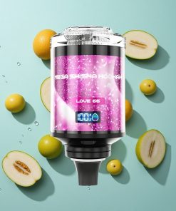 Erdbeer-Minze JNR Mega Shisha Hookah 100K 2200mAh Typ-C Schnellladung Liebe 66